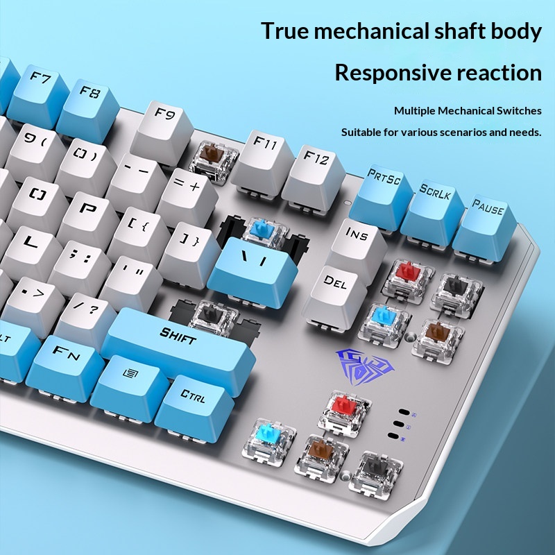Aula F3087 Keyboard Mekanik 87 - Esports Gaming Pcs ulasan dan harga